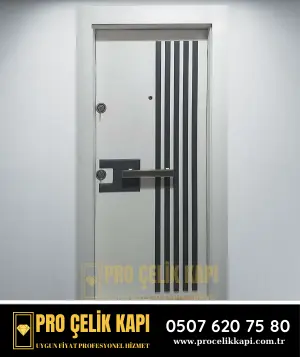 Ataşehir Çelik Kapı - Plus 3